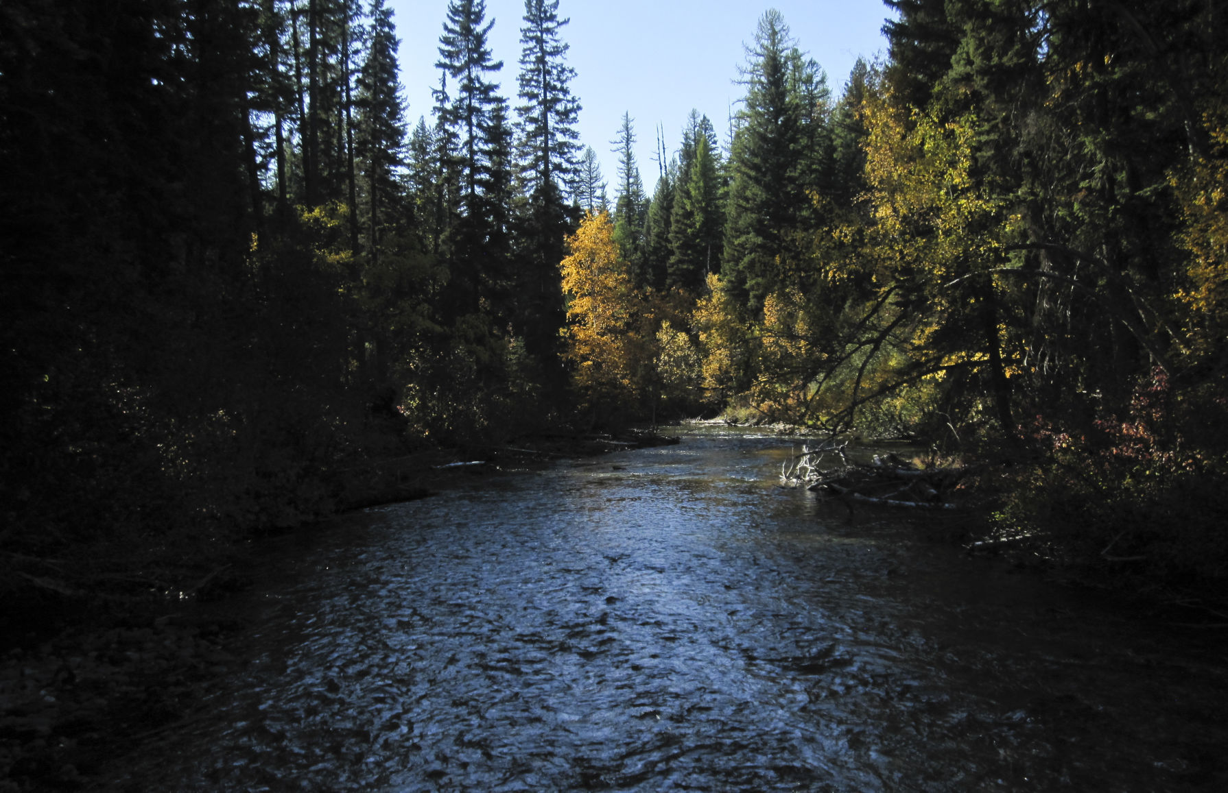 Kintla Creek